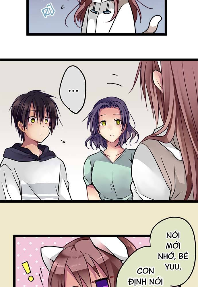 ページ 11
