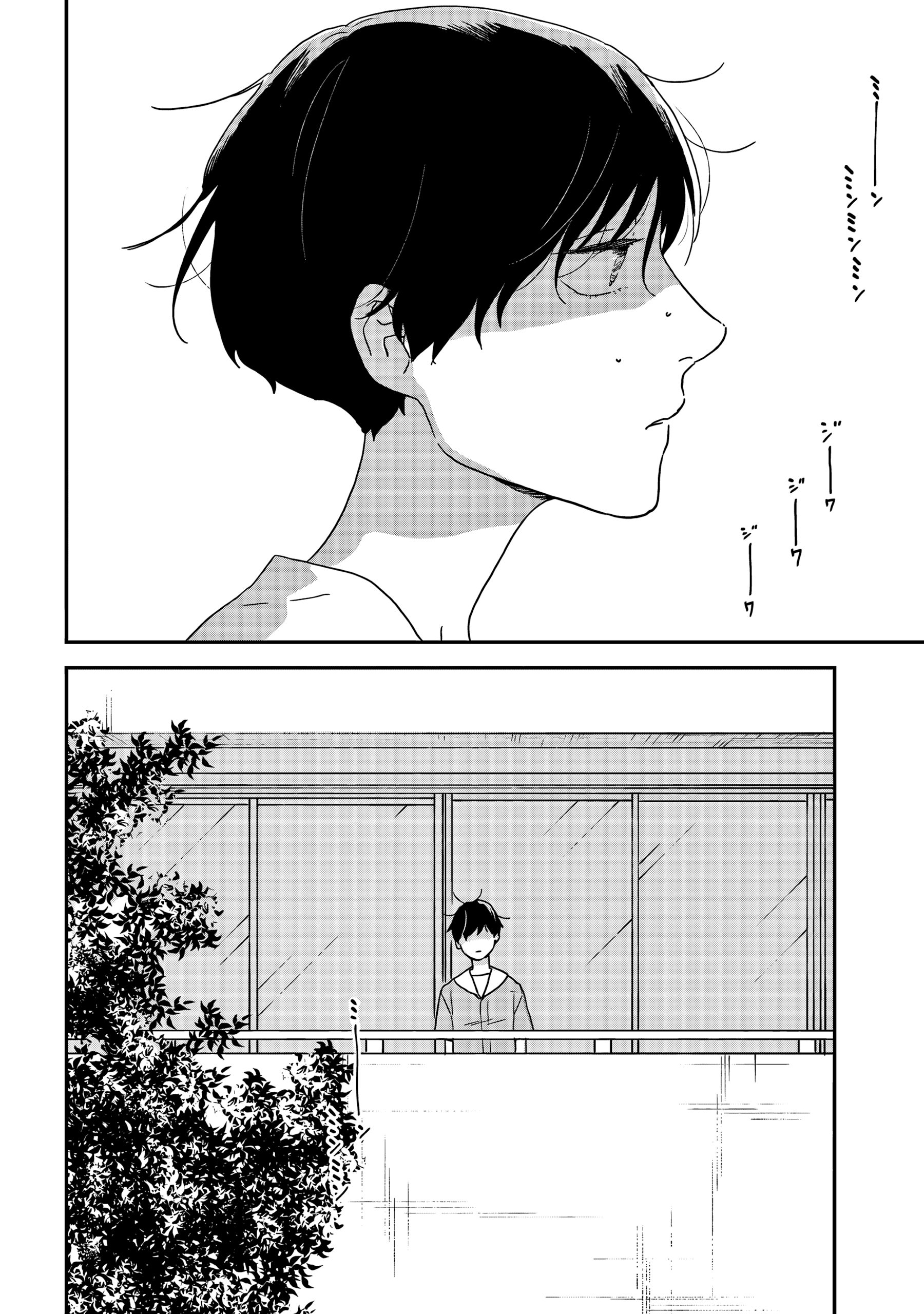 ページ 5