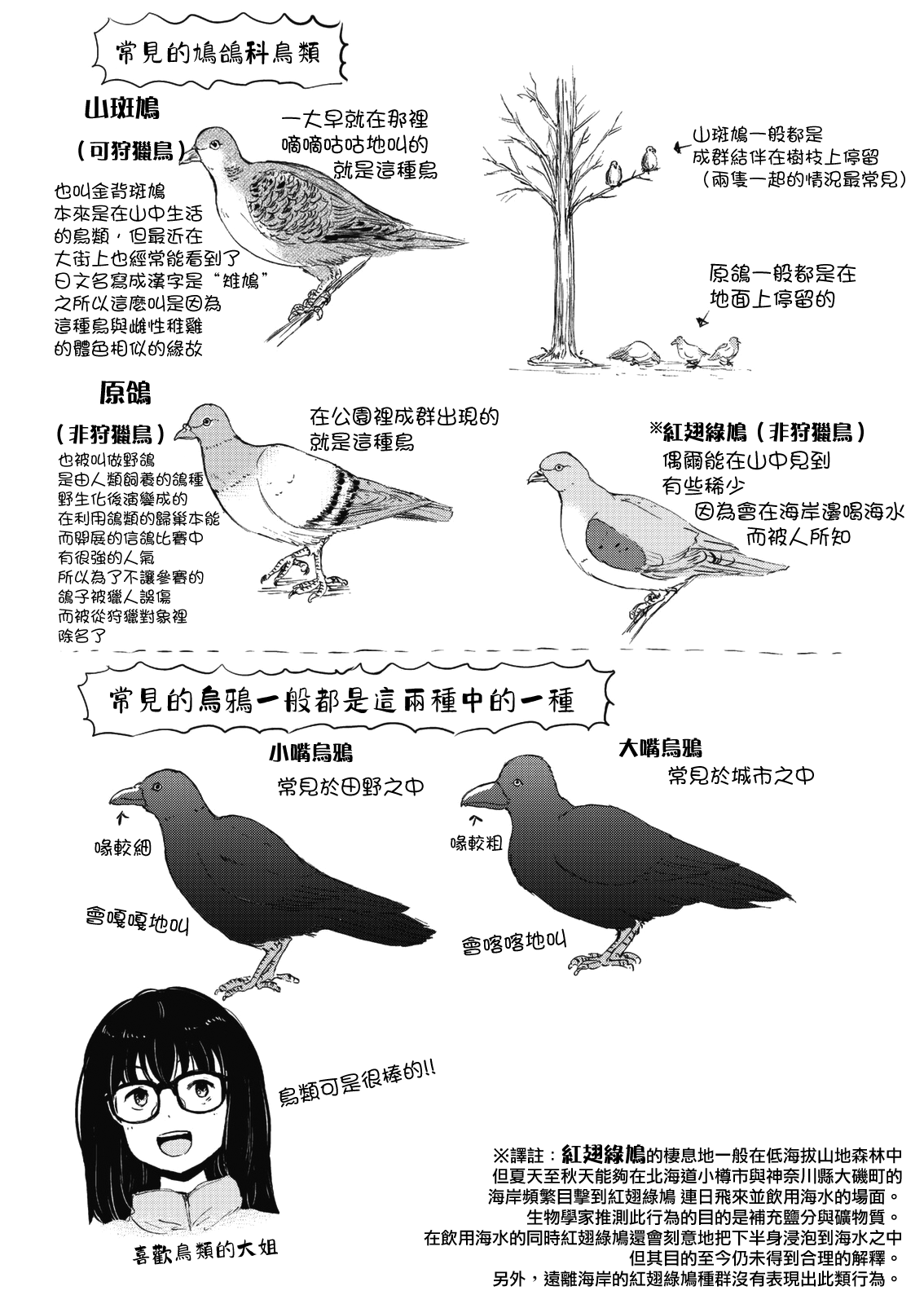 ページ 17