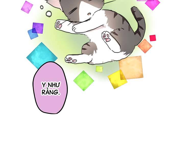 ページ 45