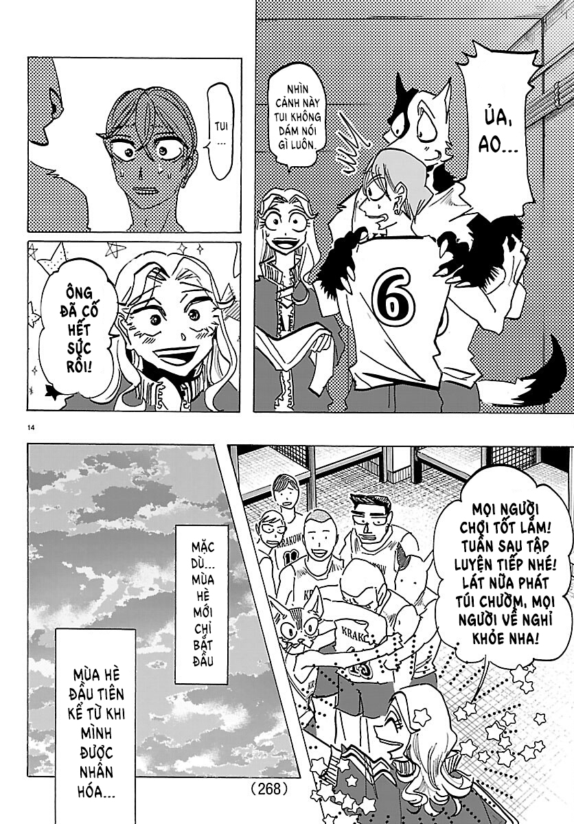 ページ 13