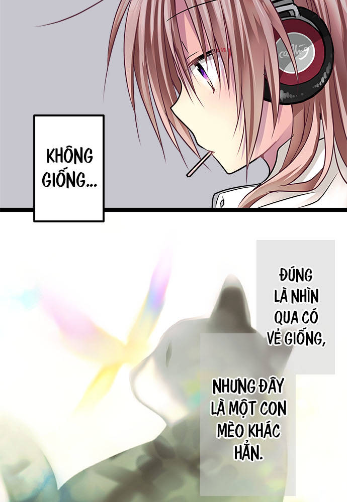 ページ 10