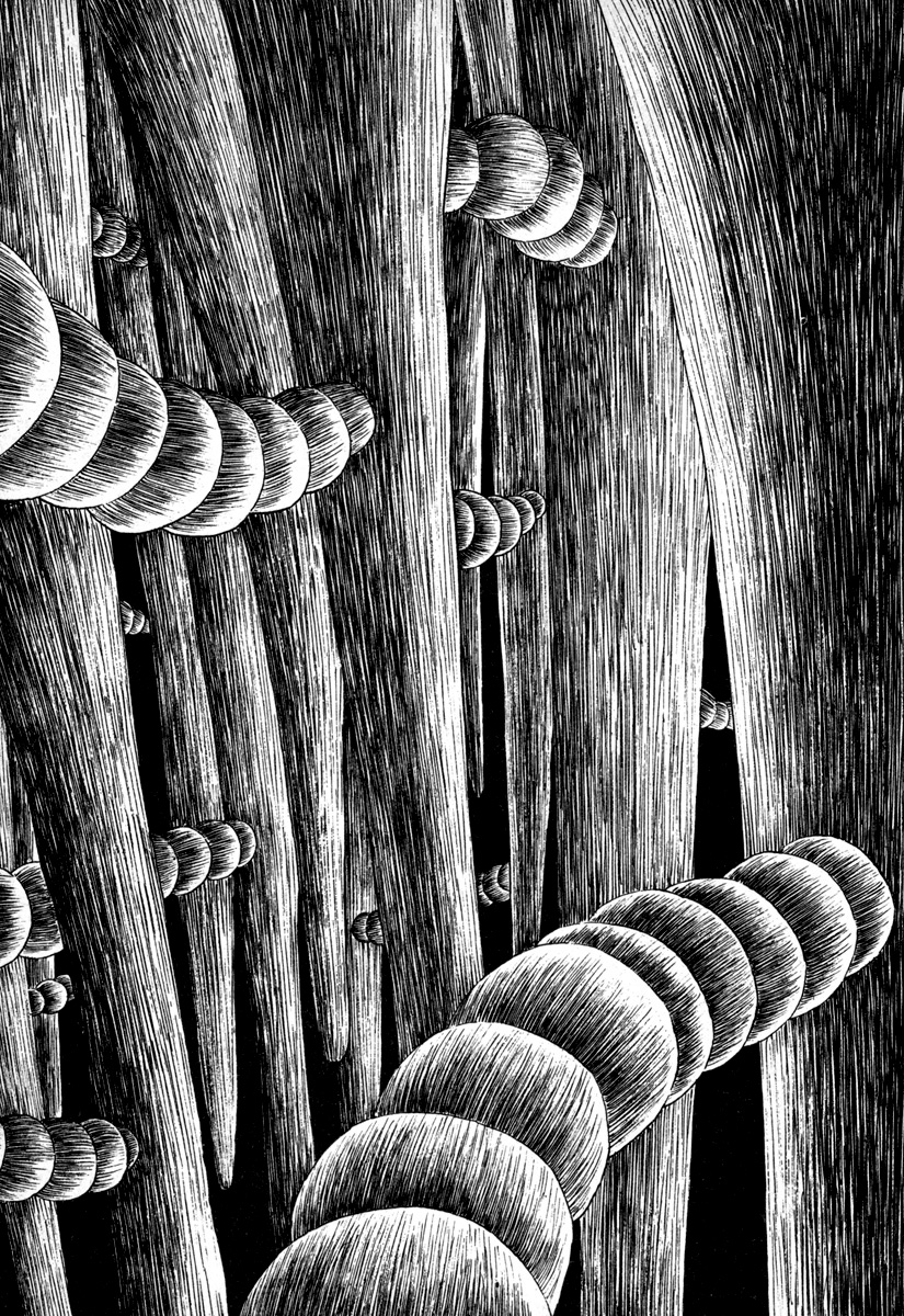 ページ 11
