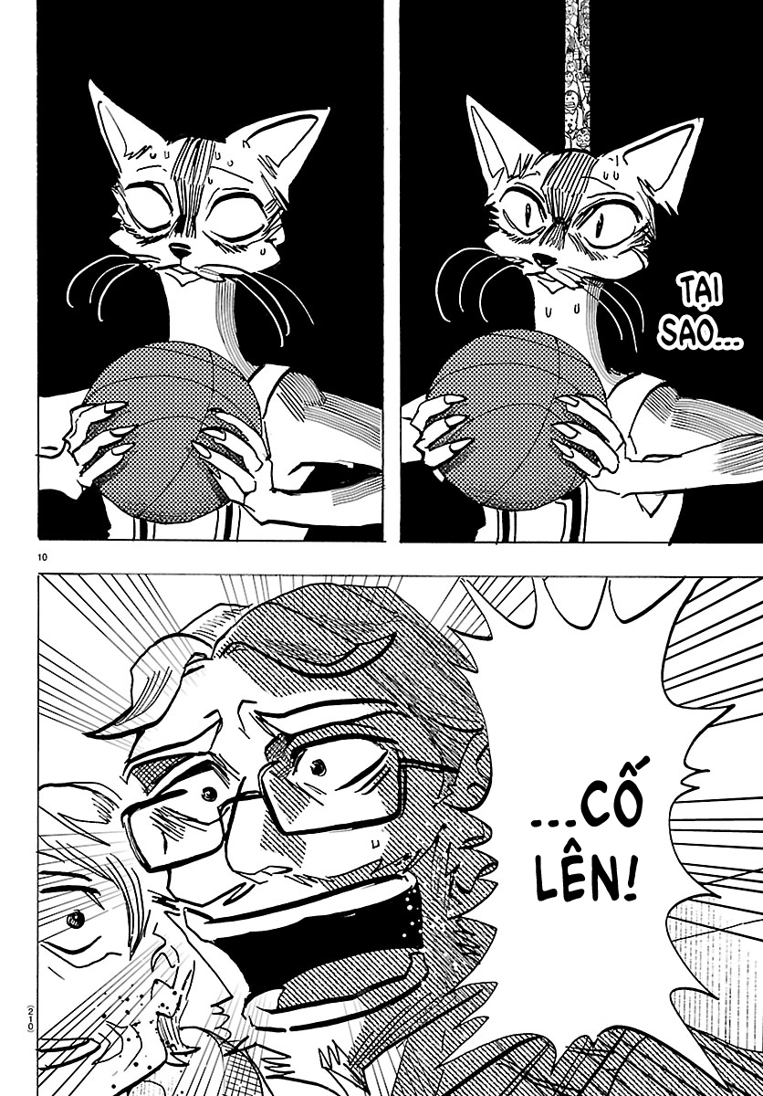 ページ 10