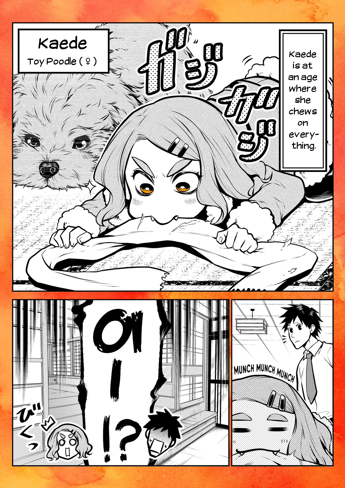 ページ 1