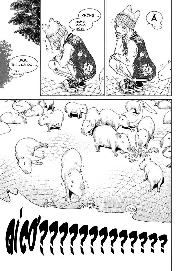 ページ 30