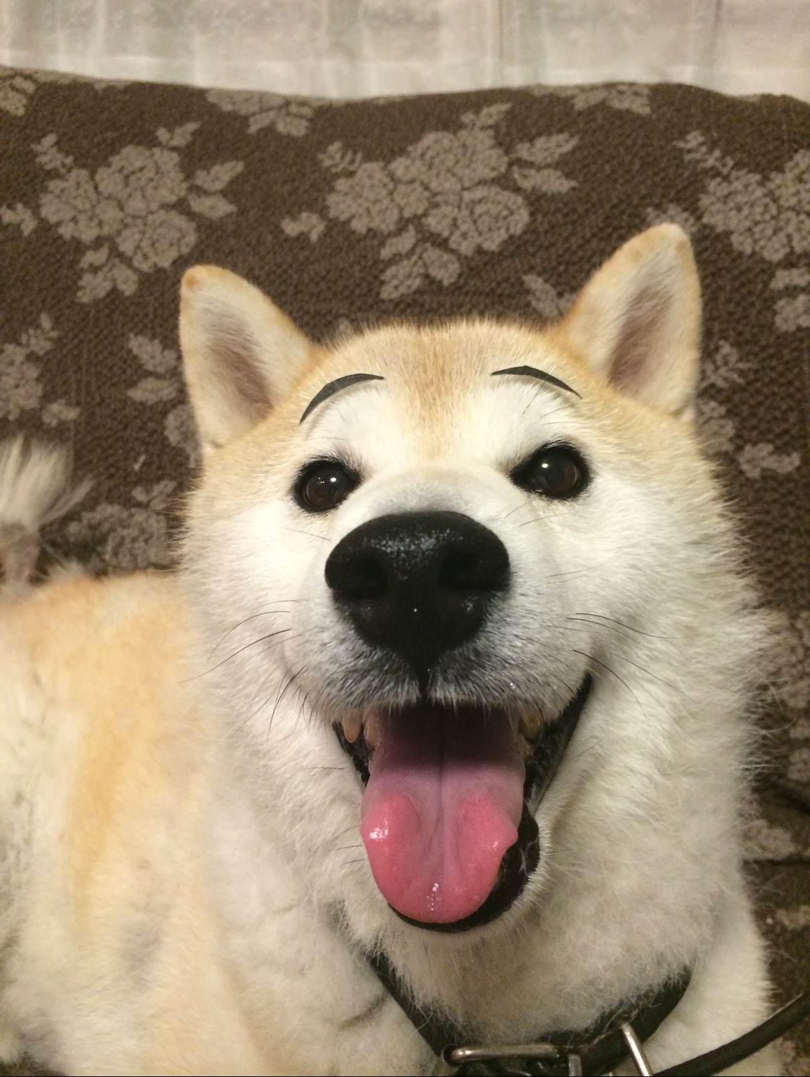 ページ 3