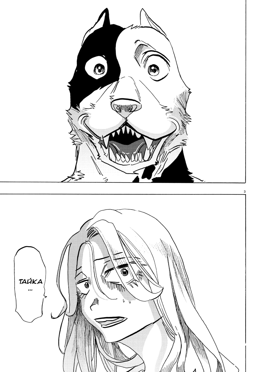 ページ 4