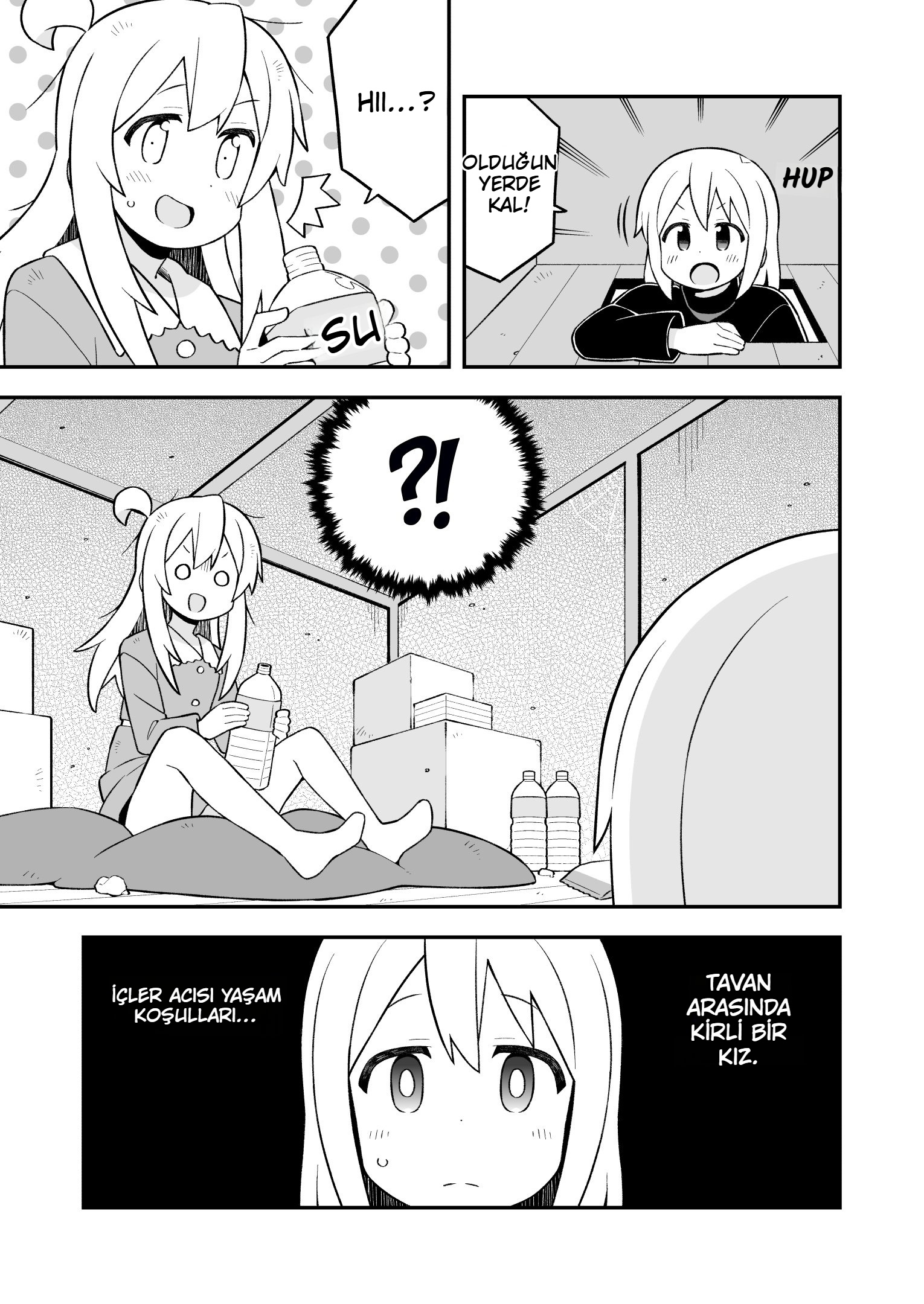 ページ 11