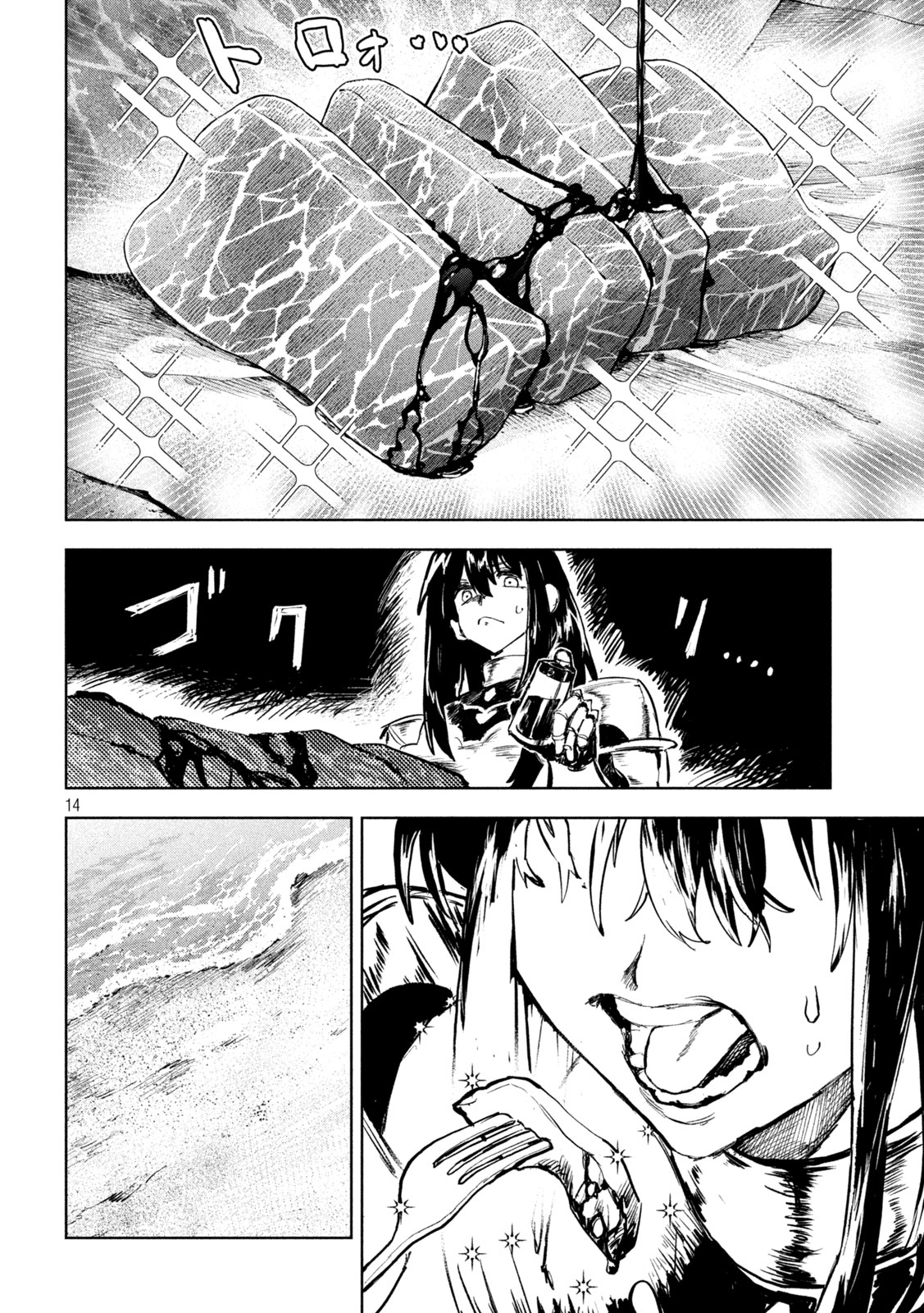 ページ 14