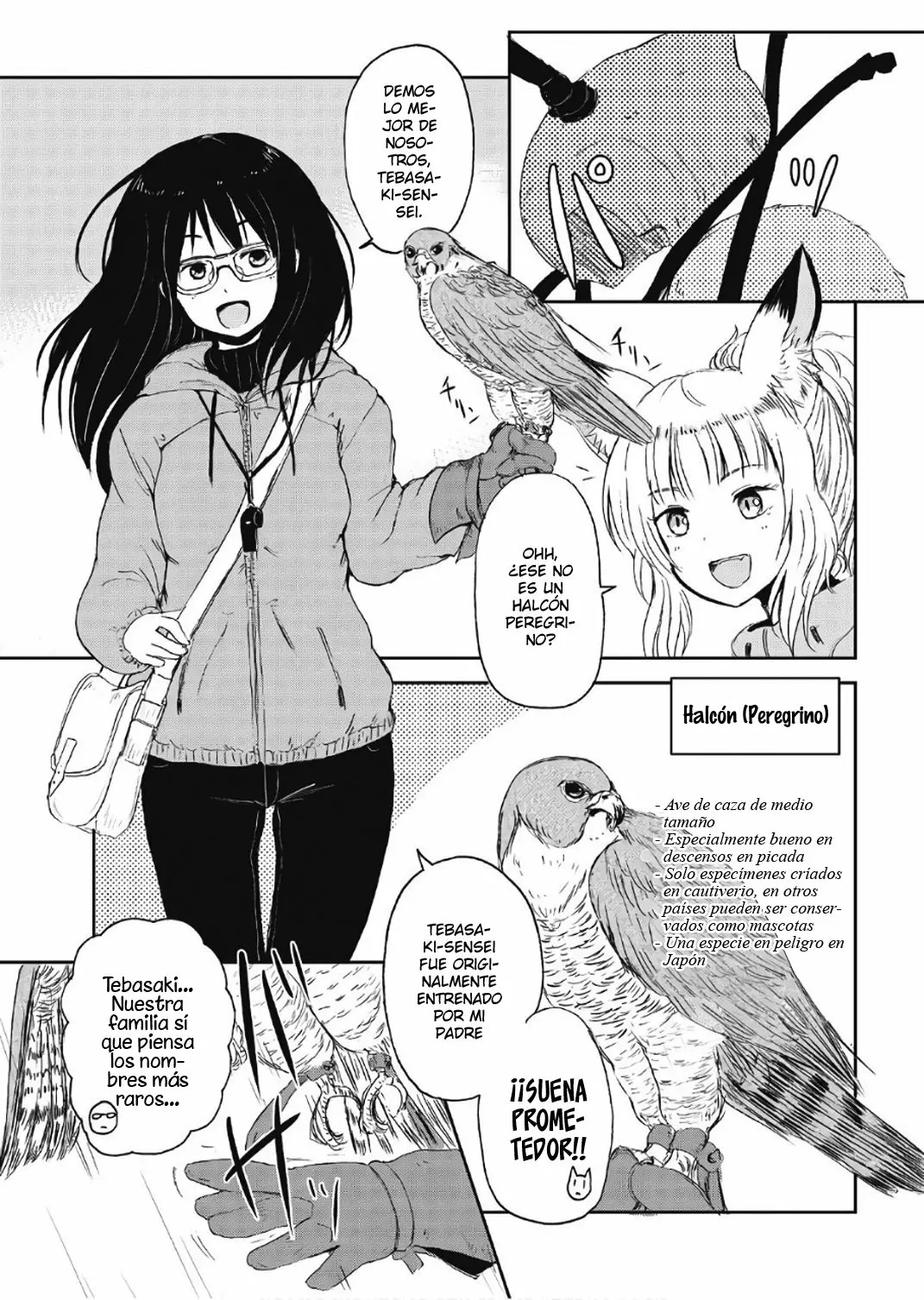 ページ 7