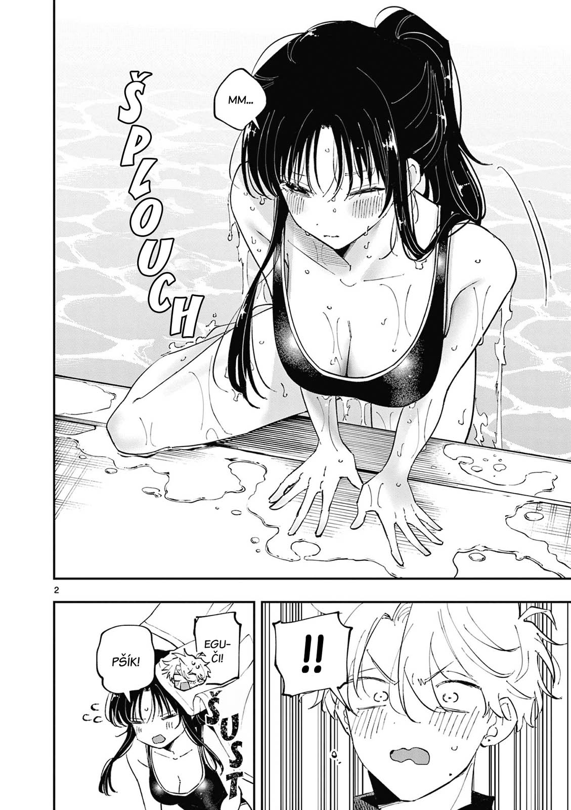 ページ 2