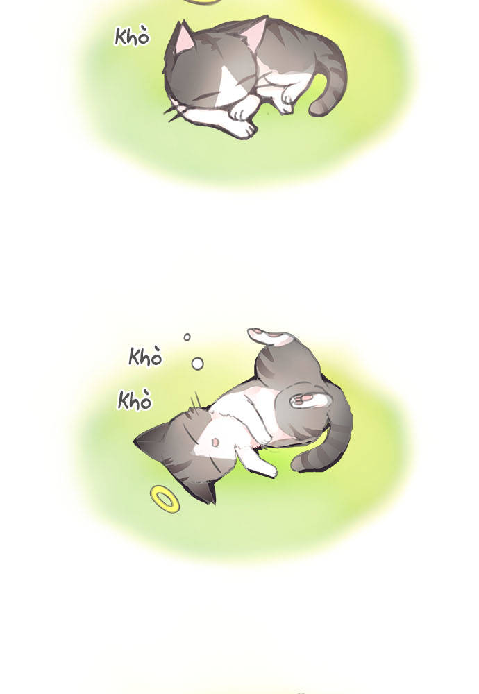ページ 42