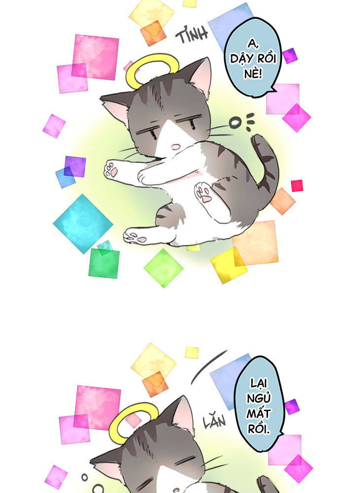 ページ 45