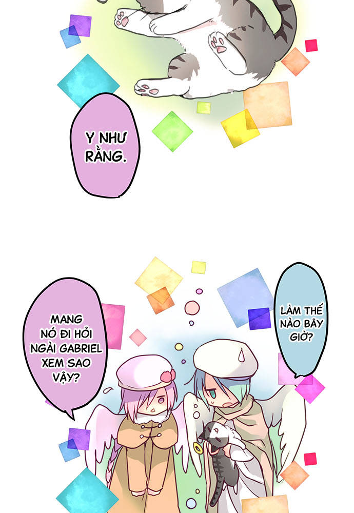 ページ 46