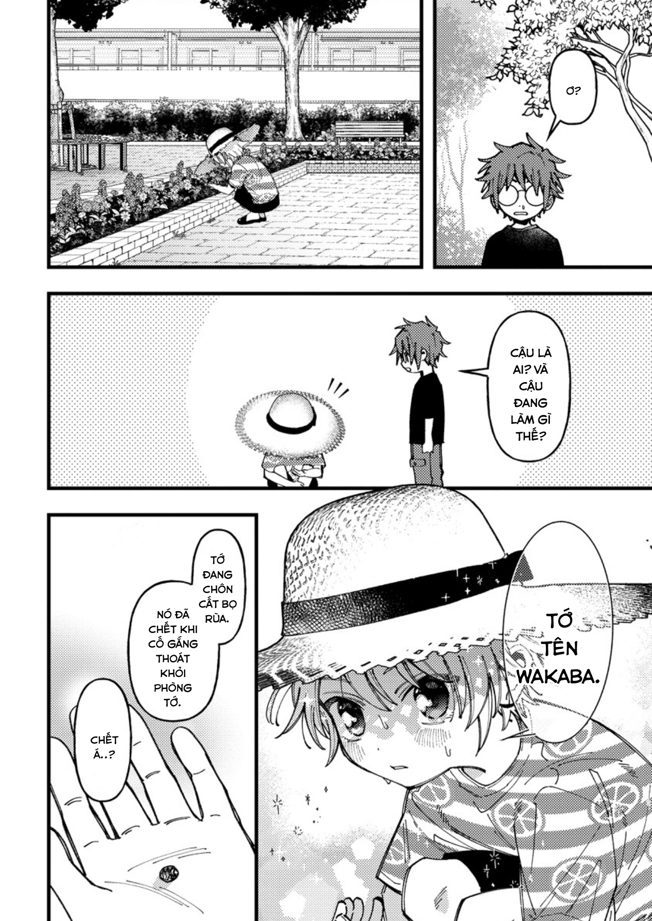ページ 5