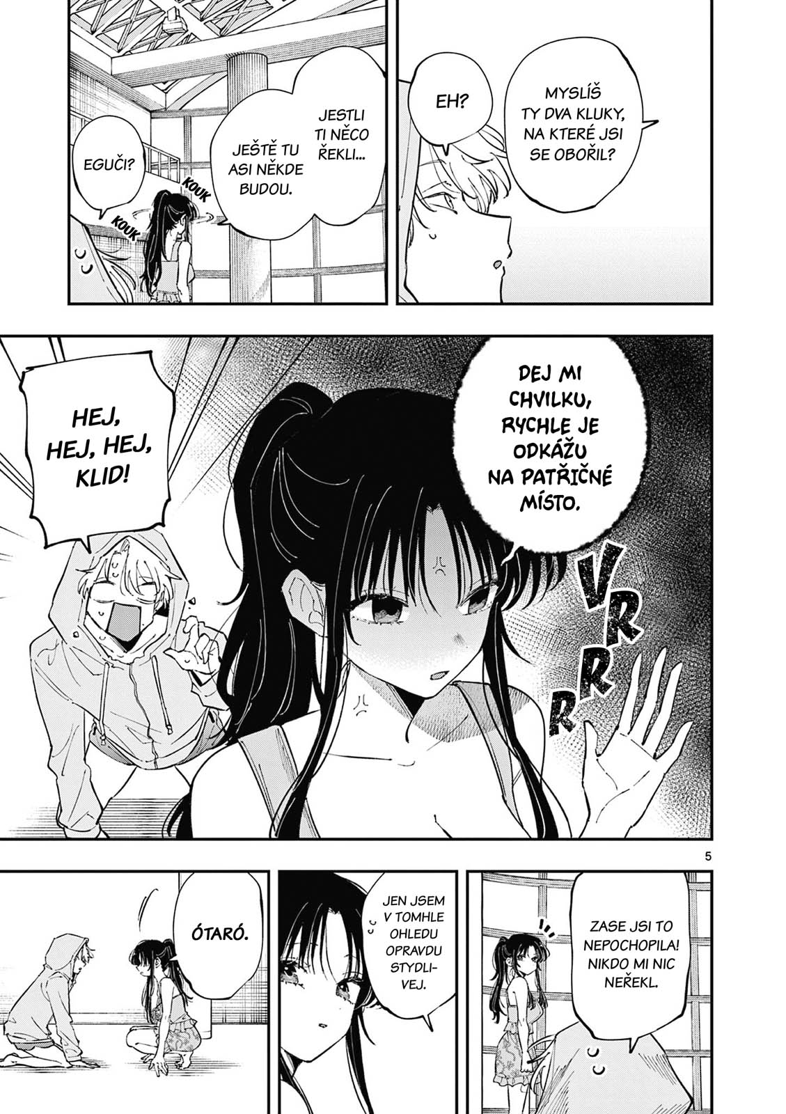 ページ 5