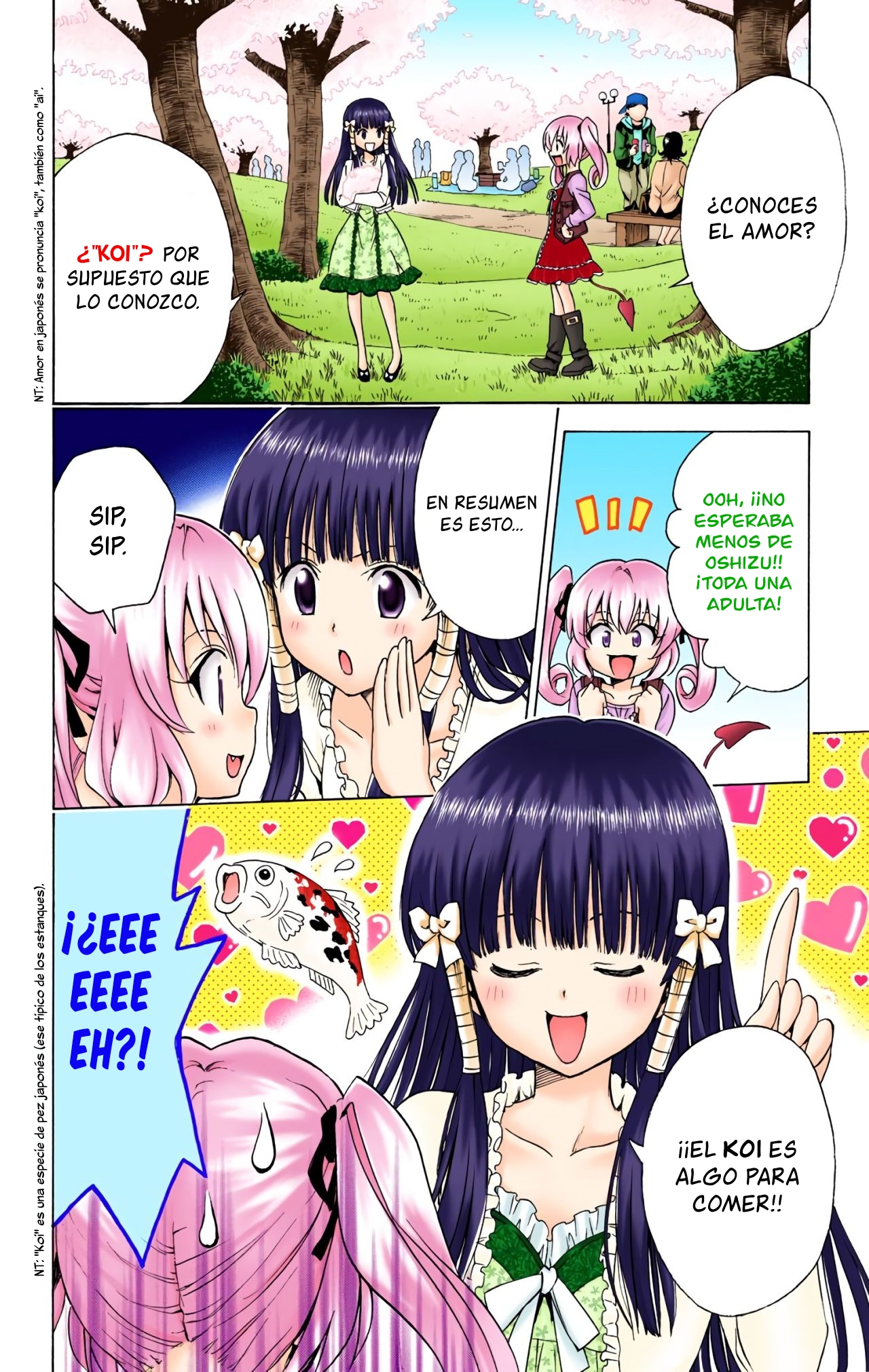 ページ 11