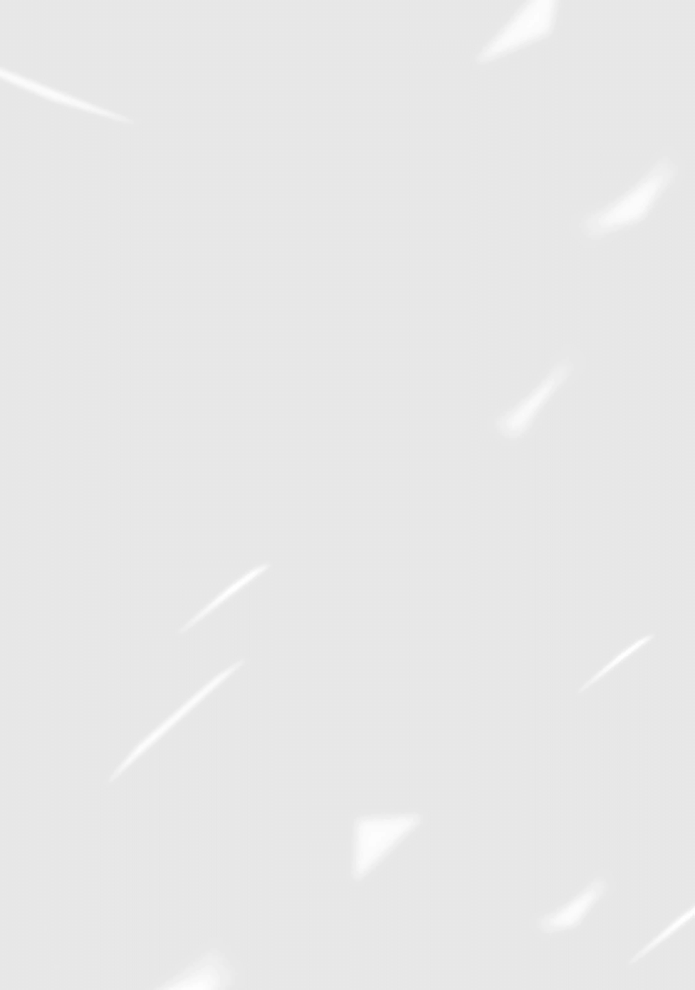 ページ 12