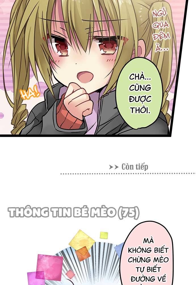 ページ 31
