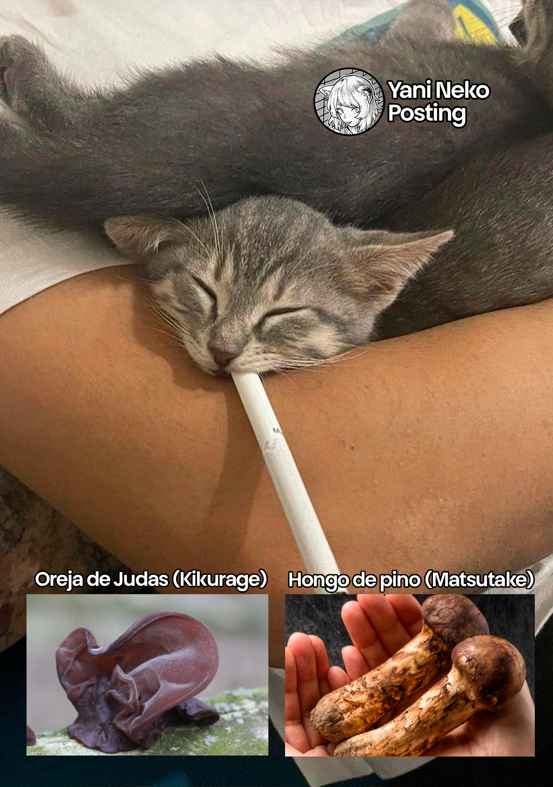ページ 7