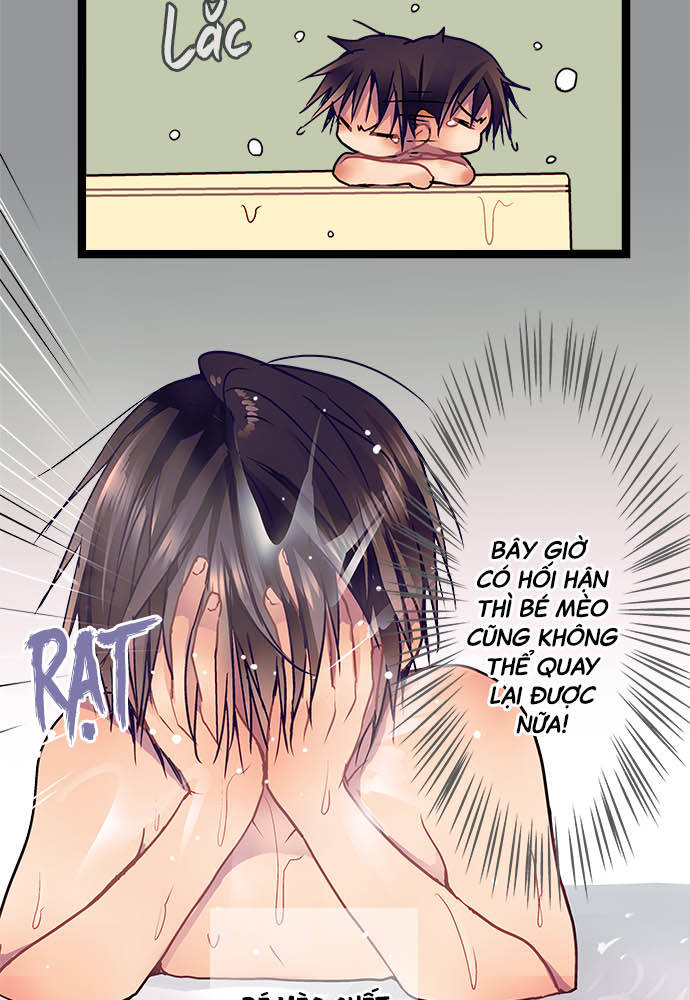 ページ 5
