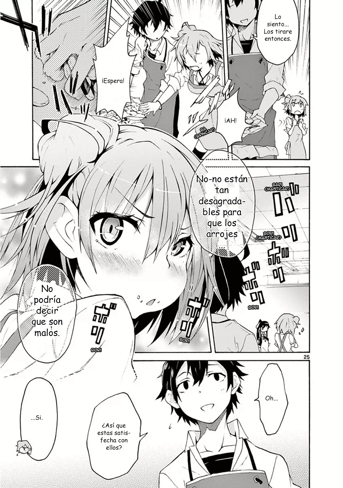 ページ 25