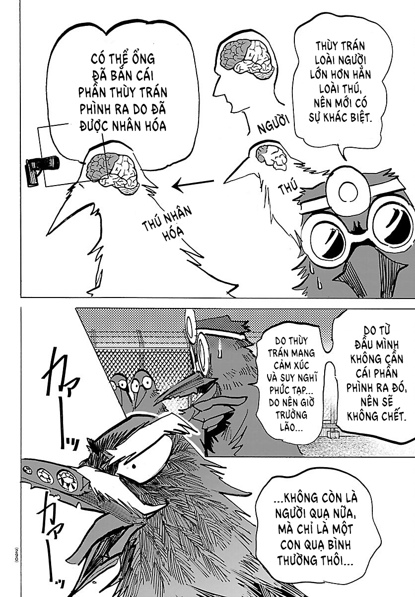 ページ 13