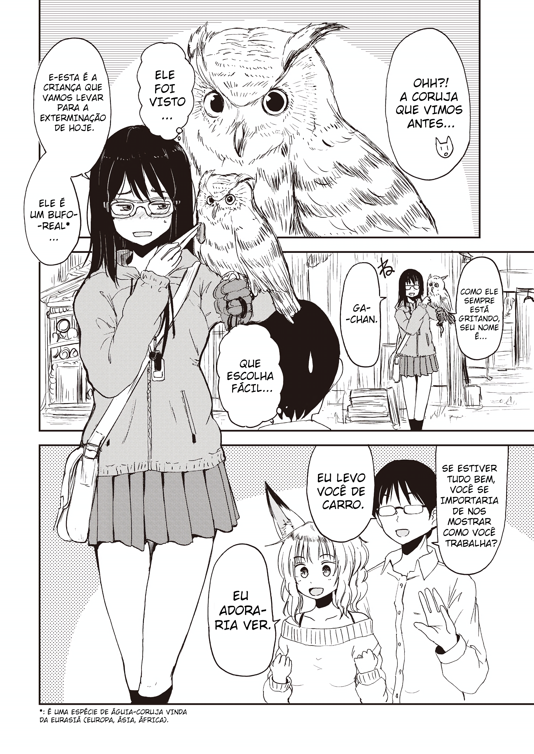 ページ 8