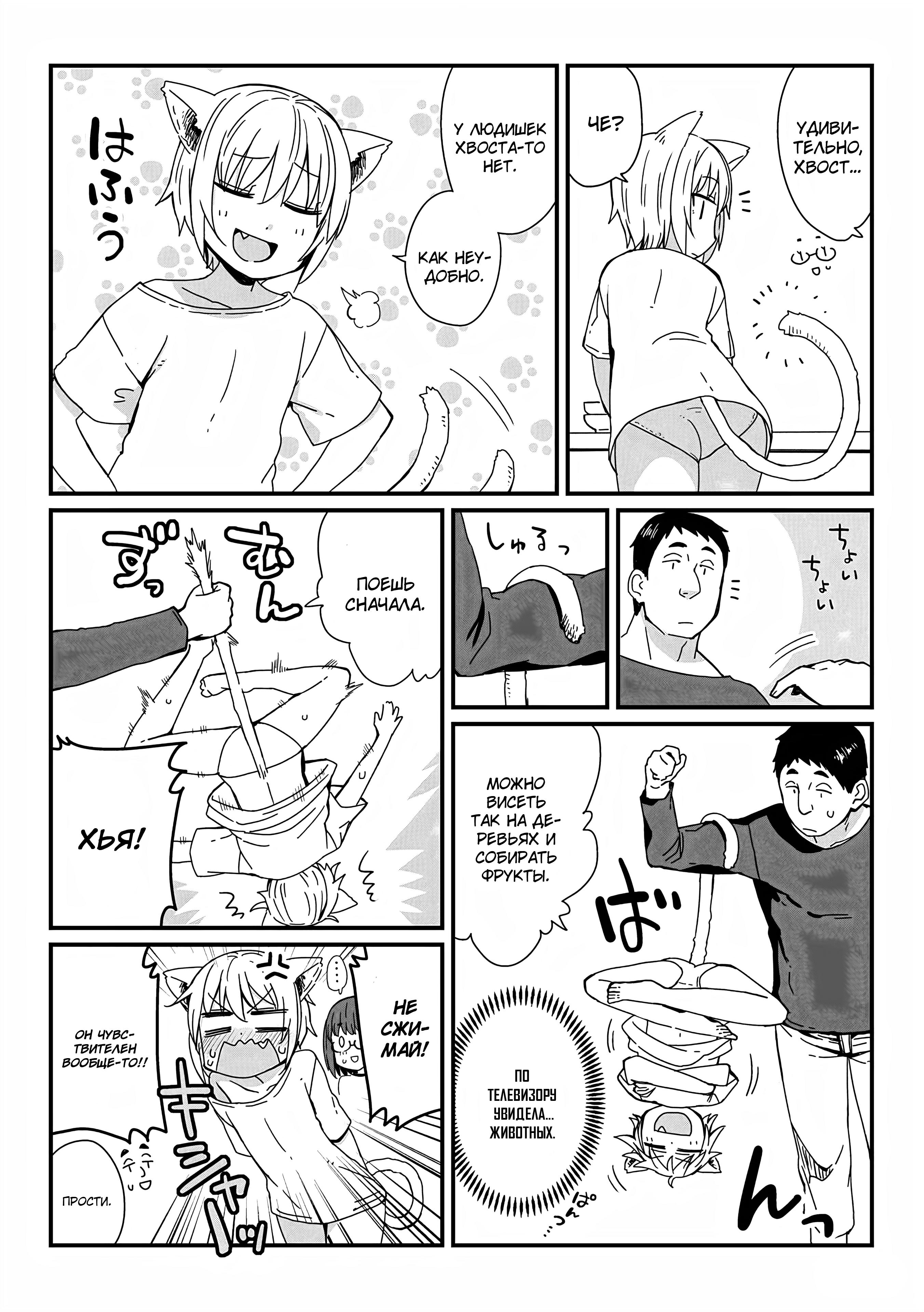 ページ 3