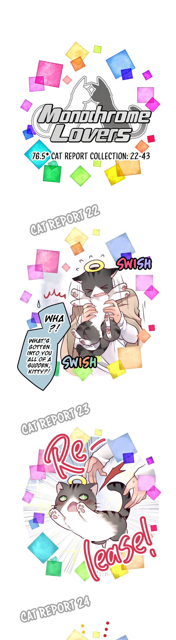 ページ 17