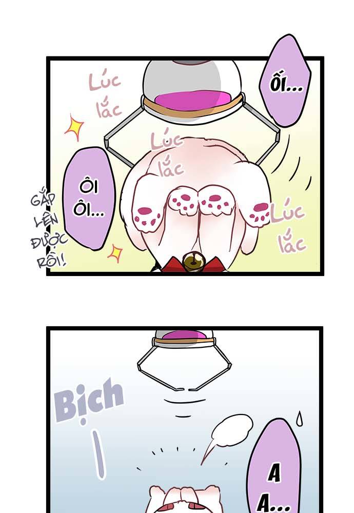 ページ 17