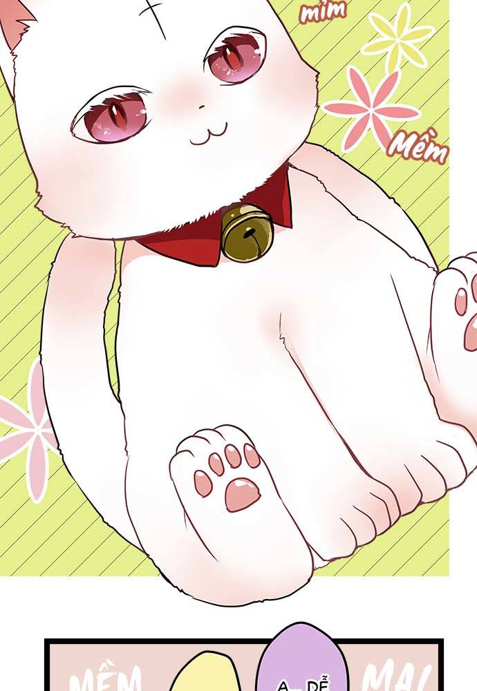 ページ 10