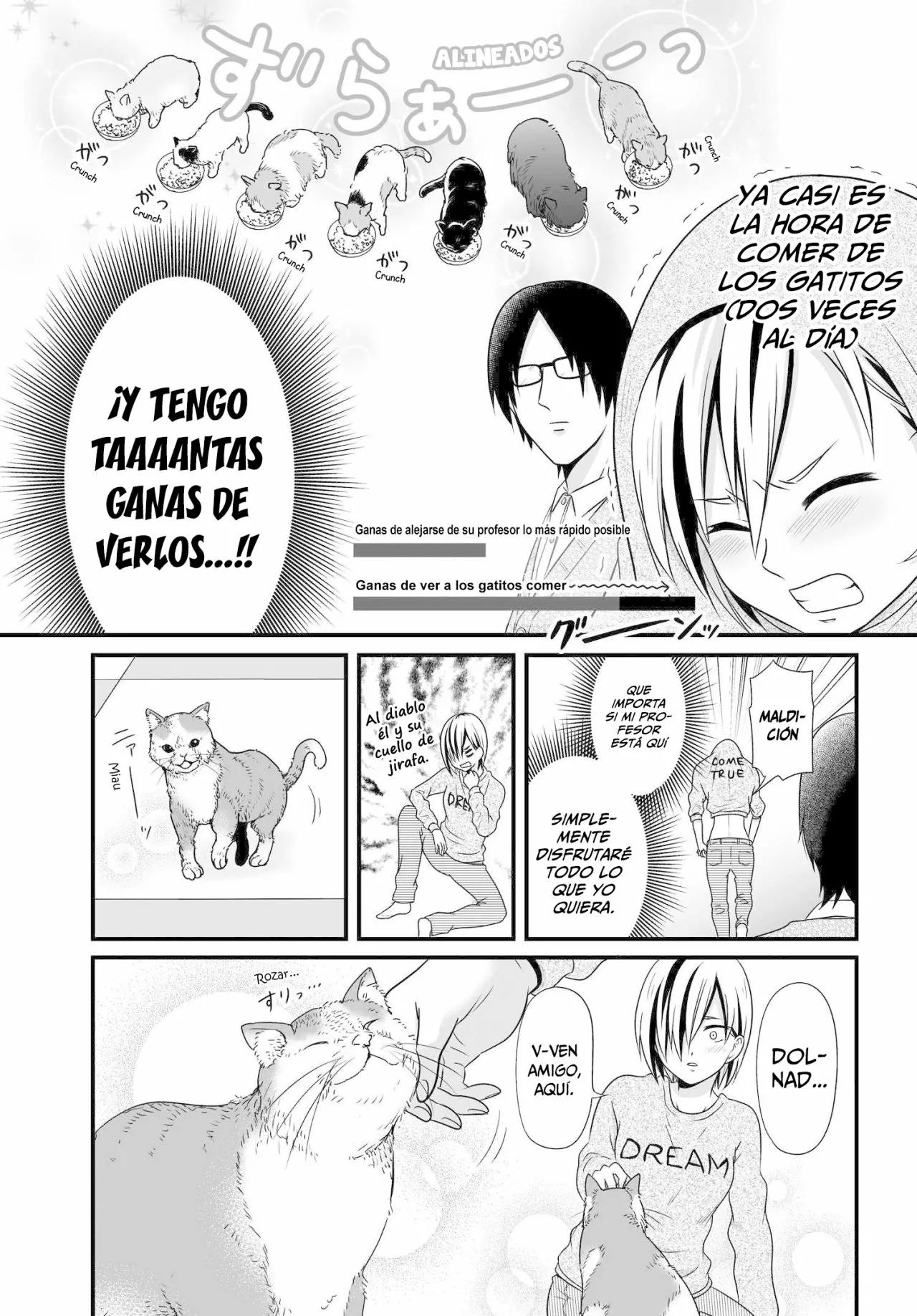 ページ 11