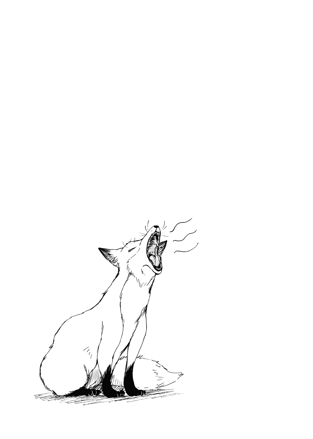 ページ 13