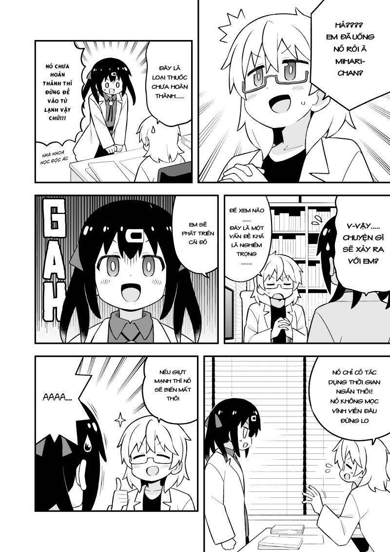 ページ 4