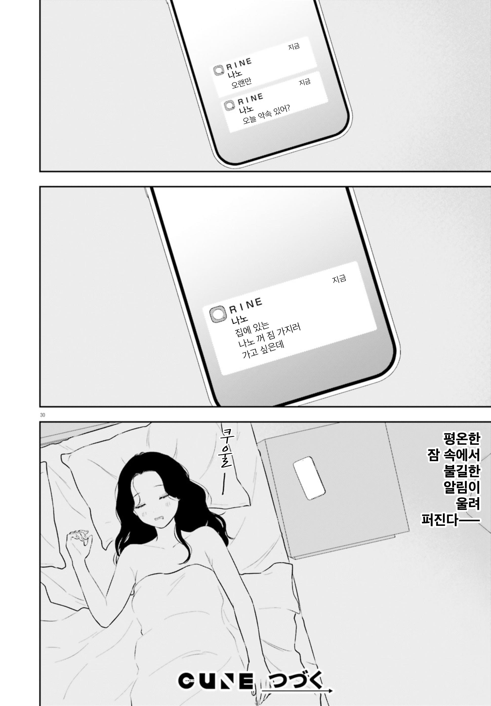 ページ 30