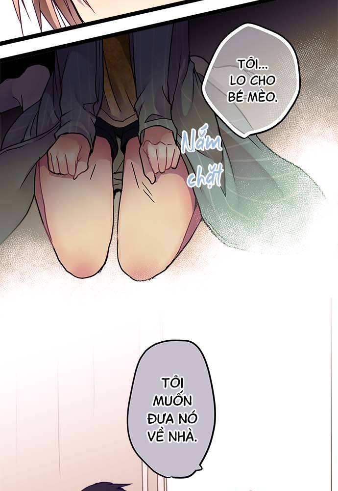 ページ 31
