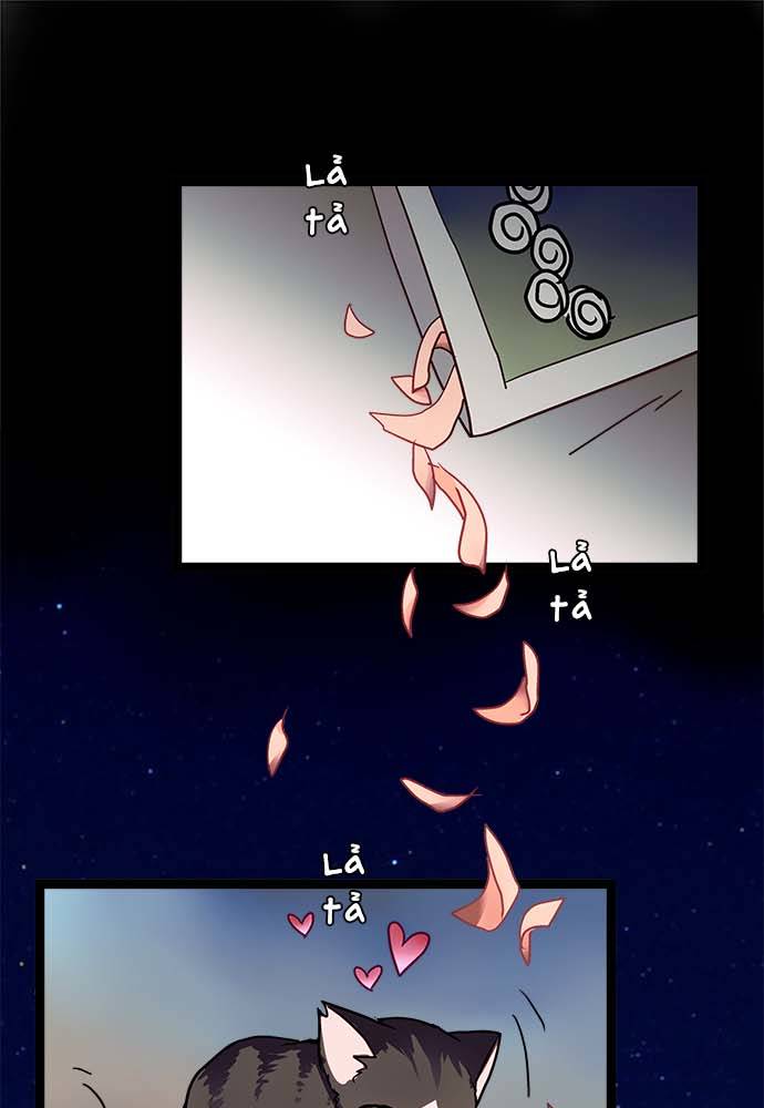 ページ 41