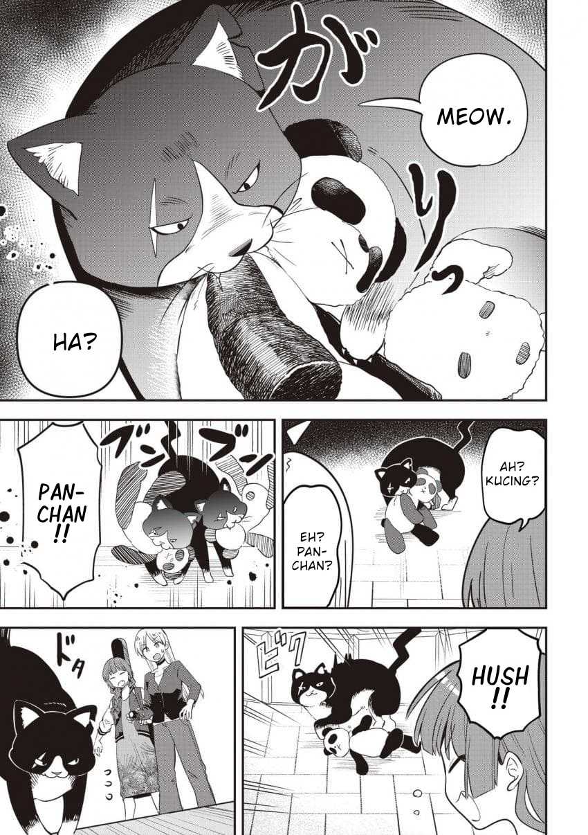 ページ 17
