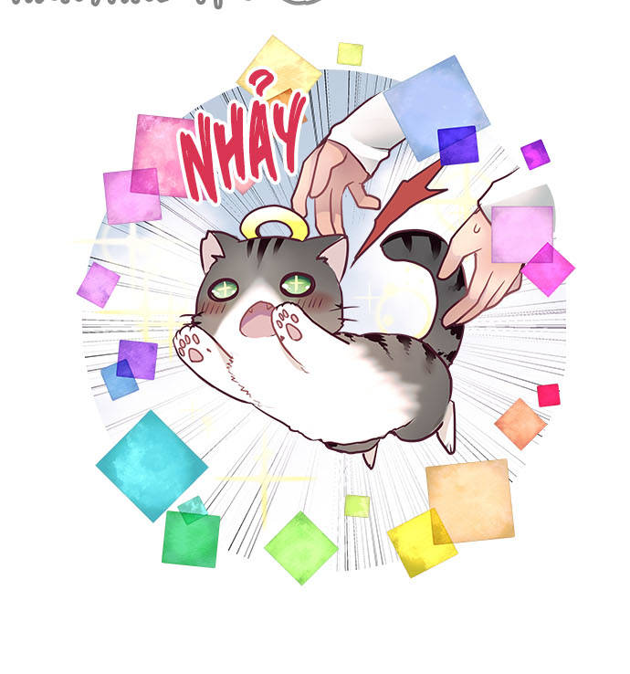 ページ 47