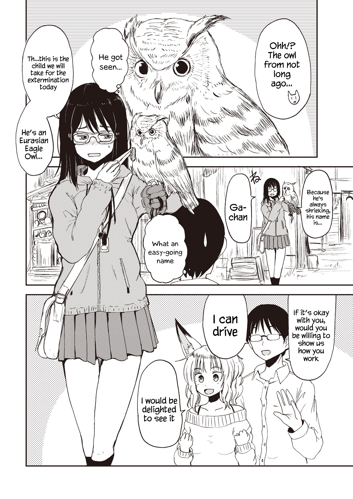 ページ 8