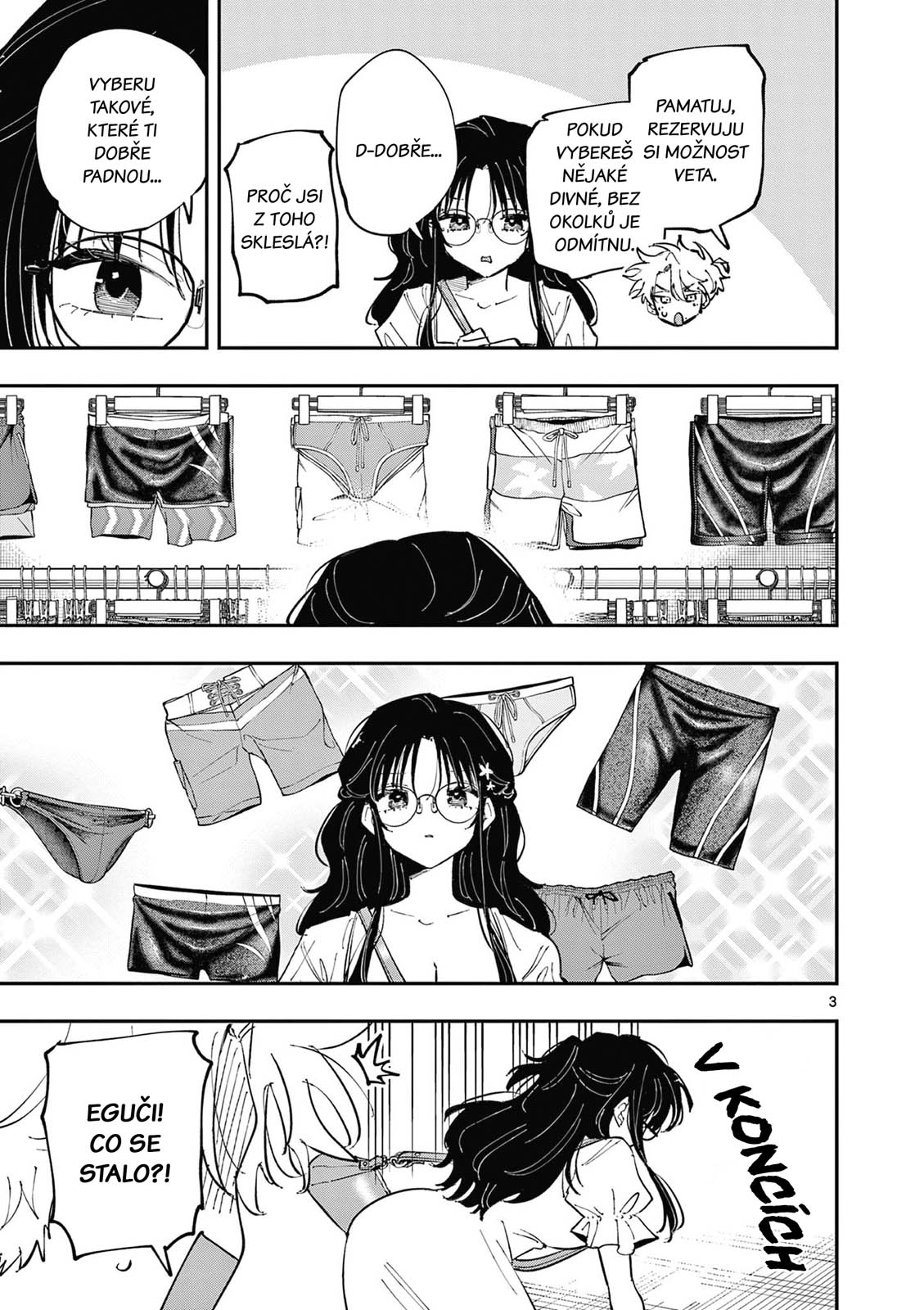 ページ 3