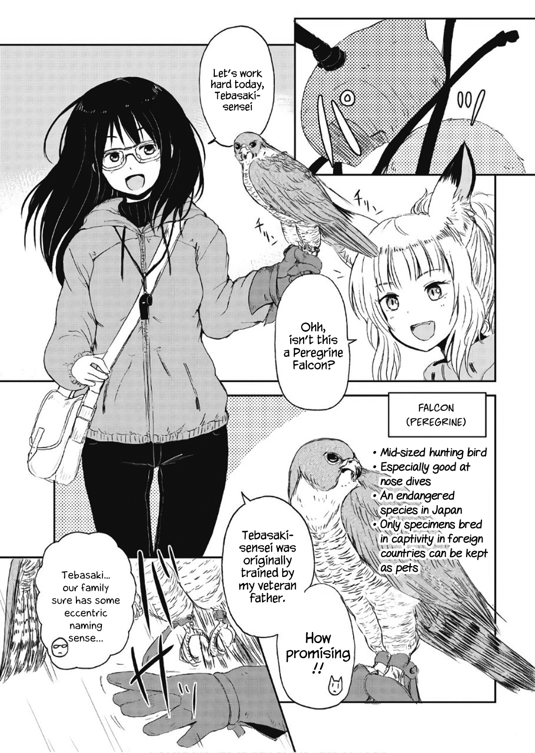 ページ 7