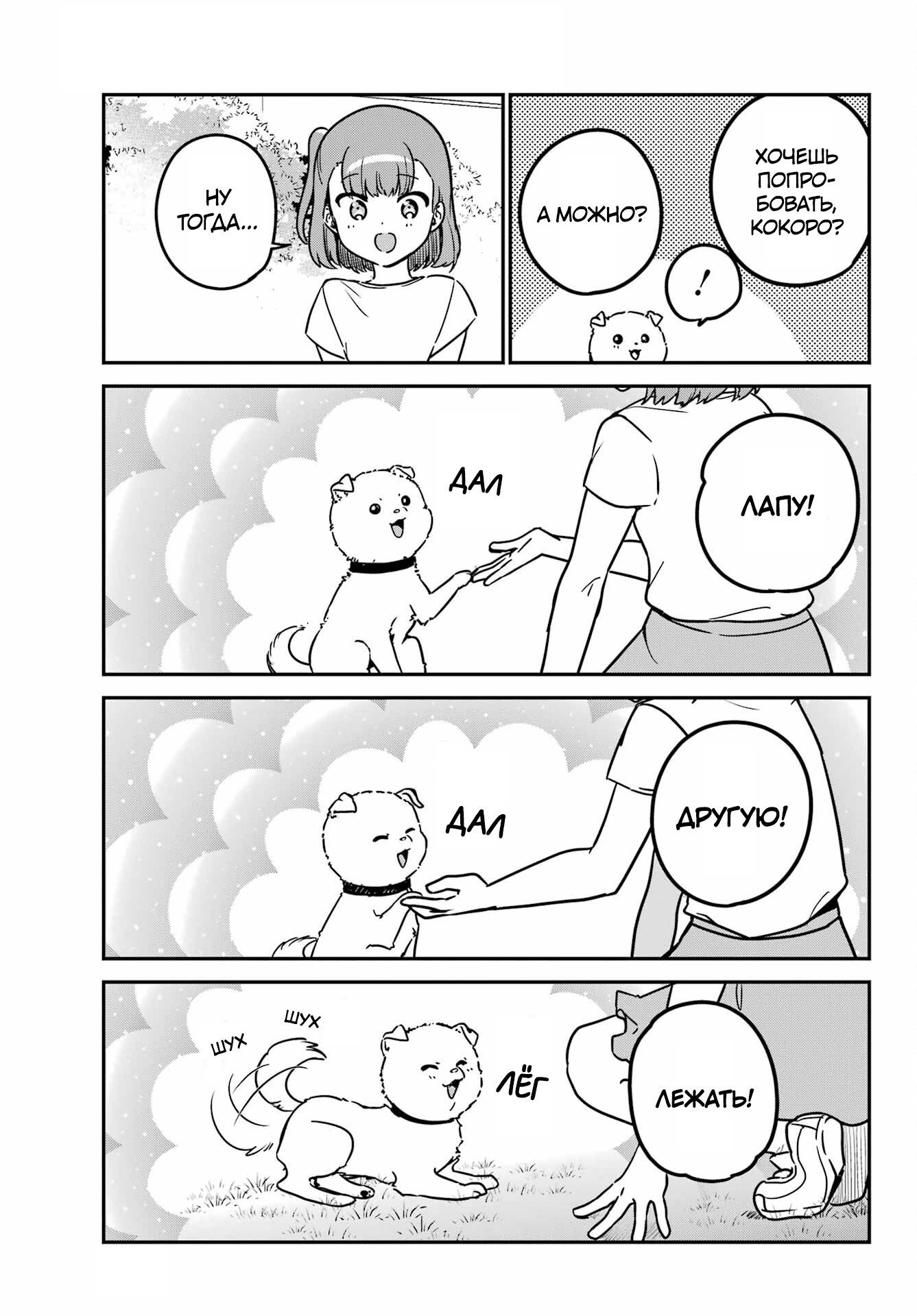 ページ 5