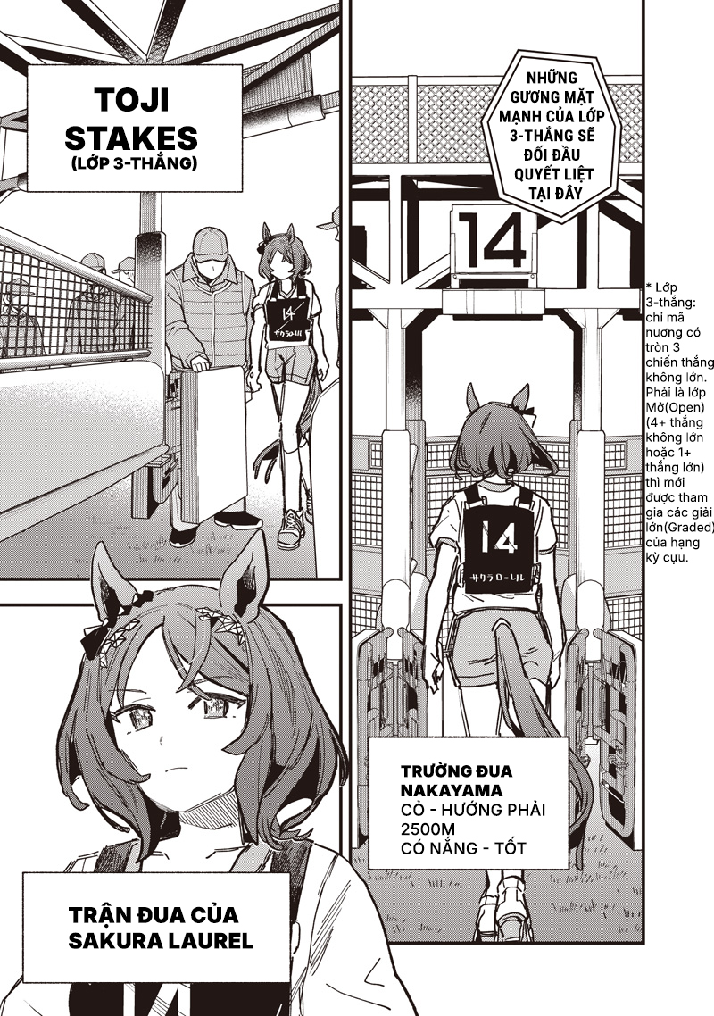 ページ 5