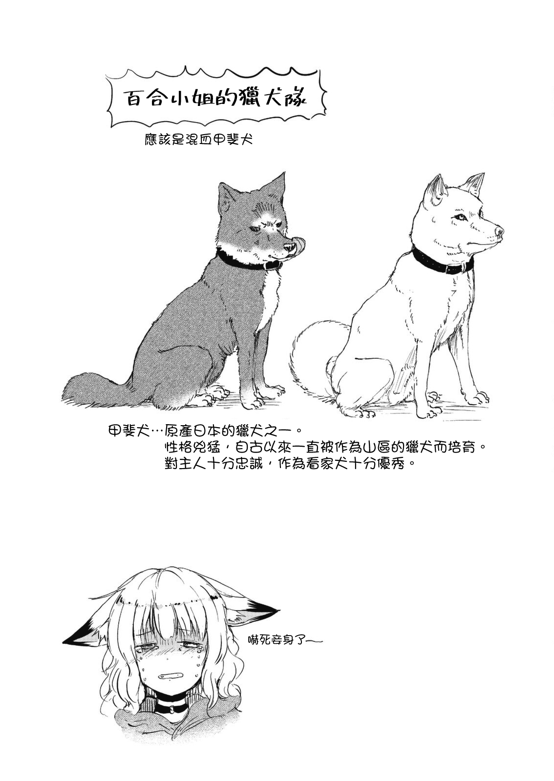 ページ 17