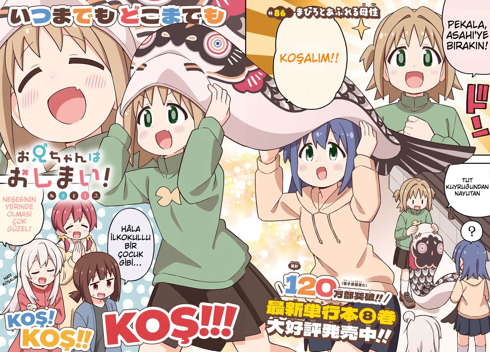 ページ 5