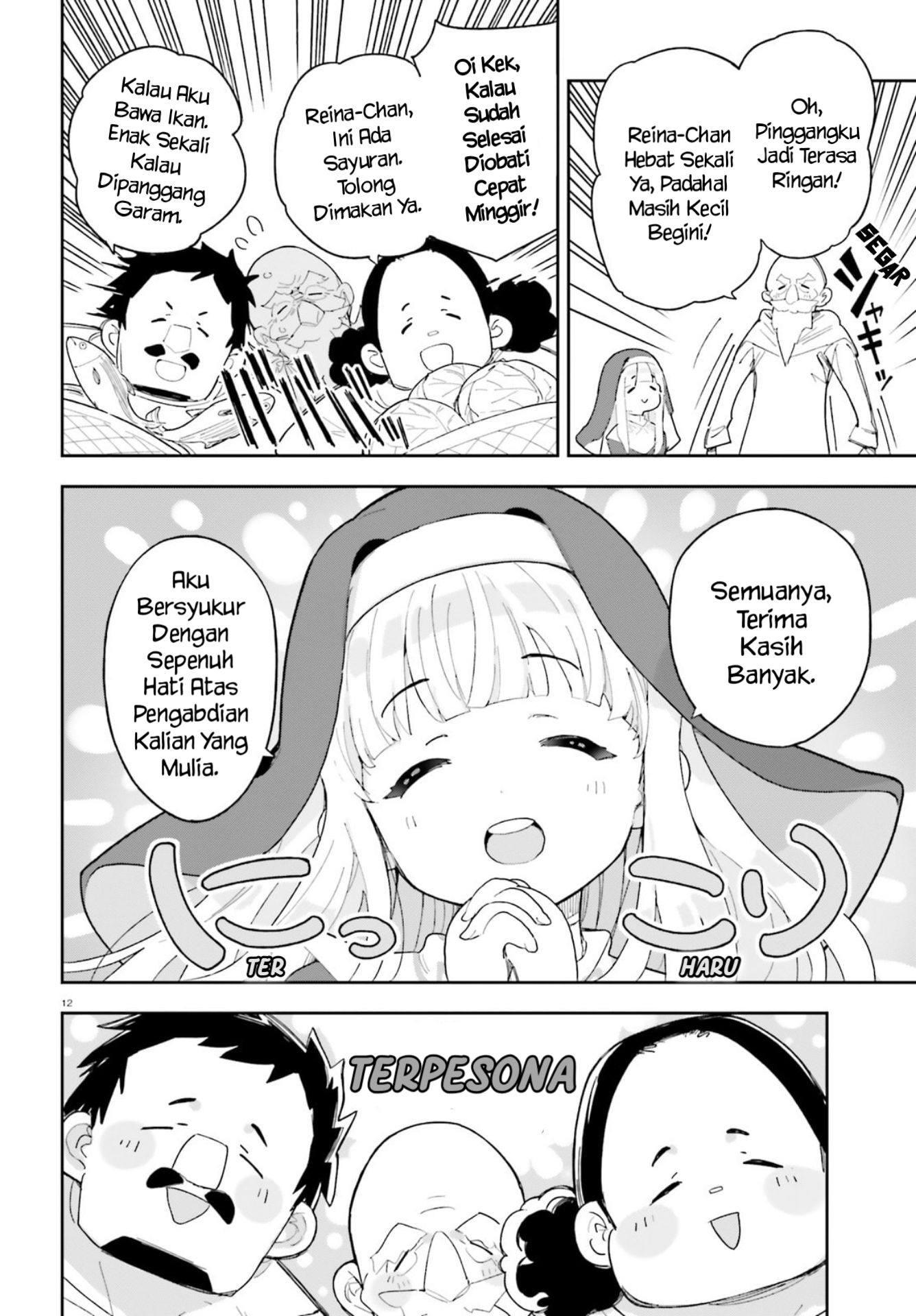 ページ 12