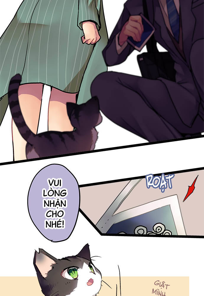 ページ 36